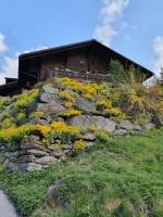 Surfers Horizon Loft with Balcony & Panoramic views - Bed and Breakfast Grindelwald
