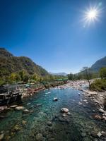 Peace Forest Retreat - Bed and Breakfast Gopeshwar