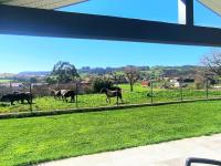 Casa moderna con jardín y barbacoa - B&B Helguera