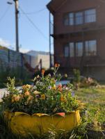 cottage nikolozi - B&B Stepantsminda