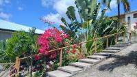 Kaytimoun Appartement spacieux vue mer et collines - B&B Sainte-Luce