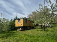 Cirkusz Udvar - Ferienwohnung Kapolcs