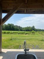 Charming Cottage in Bordeaux Vineyards - B&B Massugas