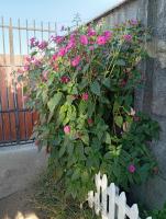 Casa un rincón acogedor - Ferienwohnung Temuco