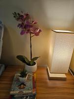 Homey Studio 2 at Avida Towers Atria by Tinir Ilonggo - B&B Iloilo City