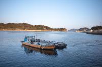 Guesthouse SHELL - B&B Honmura