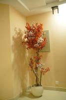 Gulberg Vintage Apartments - B&B Lahore