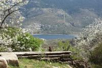 Joli Gîte Cosy au Cœur de la Montagne Corse - Ferienwohnung Lozzi