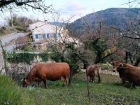 Gîte la côte des bleuets de Retourtour - Ferienwohnung Lamastre