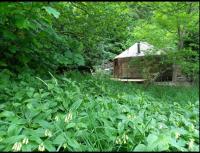Esk Yurt - B&B Drumelzier