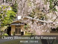 Takimotokan Yuki No Sato - Ferienwohnung Yoro