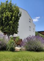 Apartments Lopar 377 - B&B Lopar