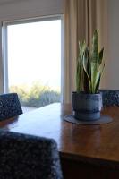 Villa Savvina, Sea Views Akrata near Beach & Ski Resort - Chambres d'hôtes Aíyira