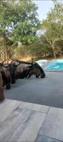 Mala house - B&B Marloth Park