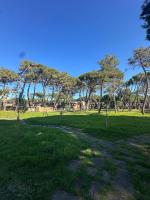 La Pineta Apartment - B&B San Rocco