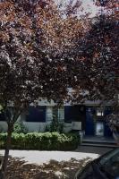 Apartament Severin Caple - B&B Drobeta-Turnu Severin