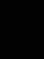 Abruzzi Home - Ferienwohnung Cologno Monzese