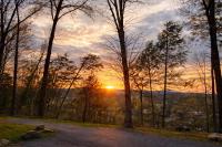 Bird House Pet-Friendly Studio, near Dollywood - Chambres d'hôtes Pigeon Forge