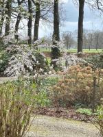 A Calm & Quiet Stay - B&B Wuustwezel