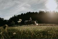 Glamping nad Meandry v jurtě - Ferienwohnung Chyňava