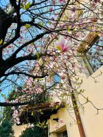 Dimora Emme - Bed and Breakfast Verona
