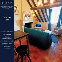 LE PLUM'LOFT, Duplex au cœur du Vieux Tours - Wifi - Tv - B&B Tours