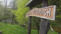 Agroturystyka SzumyNowiny - Bed and Breakfast
