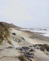 Architect-Designed House With Sea View In Lønstrup - B&B Hjørring