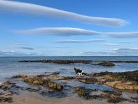 The Aultnamain Shepherds Hut - Ferienwohnung Wester Fearn