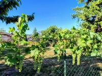 Affittacamere Rocca - B&B Montefortino