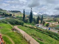 forest view ooty dreams - B&B Ooty