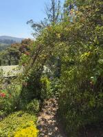 Birdsongs cottage - B&B Ooty