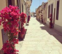 Il Gelsomino - meno di 2 kilometri da Marzamemi - Ferienwohnung Pachino