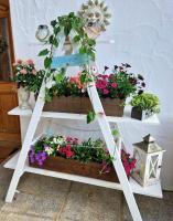 Ferienwohnung Fischbacher - Bed and Breakfast Waging am See