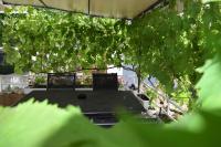 Apartment Grapes - Ferienwohnung Malinska