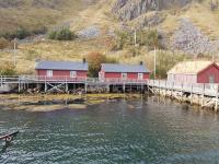 Cottage from 1850 in Ballstad - B&B Festvåg