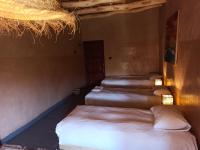 Family Room with Garden View