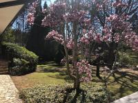 Zelma's Cottage - Leura Escape - B&B Leura