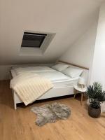 Stilvolle Ferienwohnung zum Wohlfühlen- zentral und ruhig - Chambres d'hôtes Chemnitz