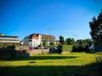Pfalz Apartments - zentral, elegant, komfortabel - B&B Neustadt an der Weinstraße