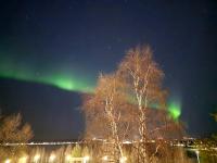 Charming Comfort in the Heart of Snowy Rovaniemi - Bed and Breakfast Rovaniemi