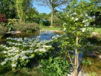 La Grange des Loges - Ferienwohnung Boucé