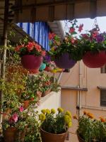 Bhoomi Retreat 2 BHK Near Metro & Diamond Harbour Rd - B&B Calcutta