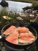 Cabin in Tydal, enjoy! - B&B Todal