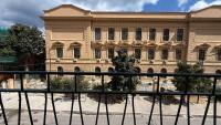 Botanic - B&B Palermo