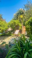 Cosy Garden flat - B&B Londres