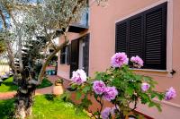 Holiday Vibes - Ferienwohnung Pisa