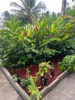 SOLEY City Break 13 - Ferienwohnung Les Abymes