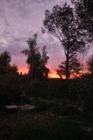 Riccioli Dell' Etna - B&B Piedimonte Etneo