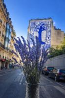 Quartier d'Emily in Paris - B&B Paris